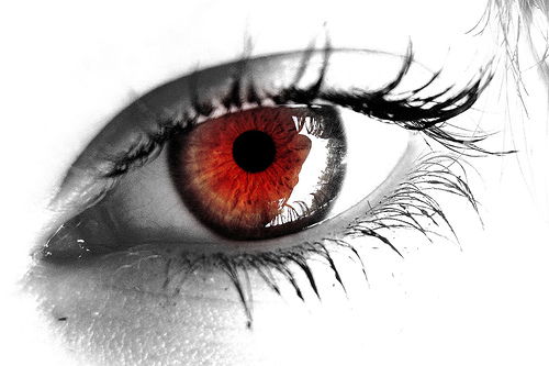 red eye.jpg (65 KB)